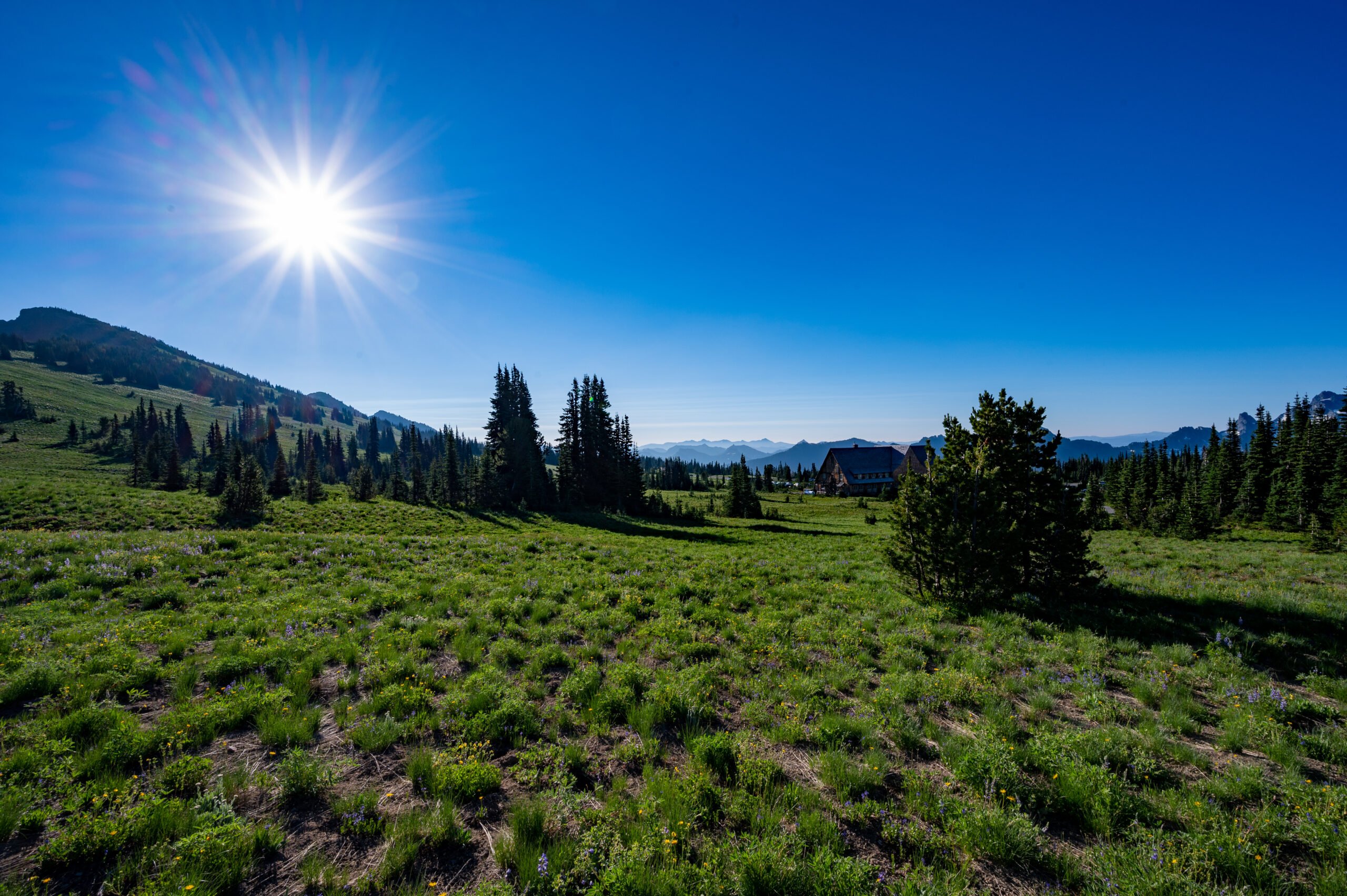 Exploring Sunrise: Mount Rainier’s Northeast Corner